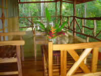 The 
                      upper deck of the Casa Osa, resort lodging in your own private cabin