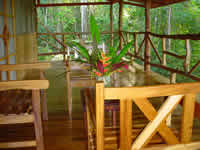 The 
                      upper deck of the Casa Osa, resort lodging in your own private cabin